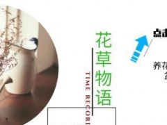 多肉植物別急著“露養”，大神教你做好“4準備”，可以減少空盆
